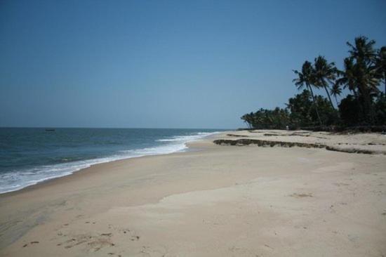 Bed and Breakfast Fool'S Paradise Alappuzha Exterior foto